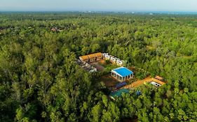 Paradisestay Auro Jungle Resort